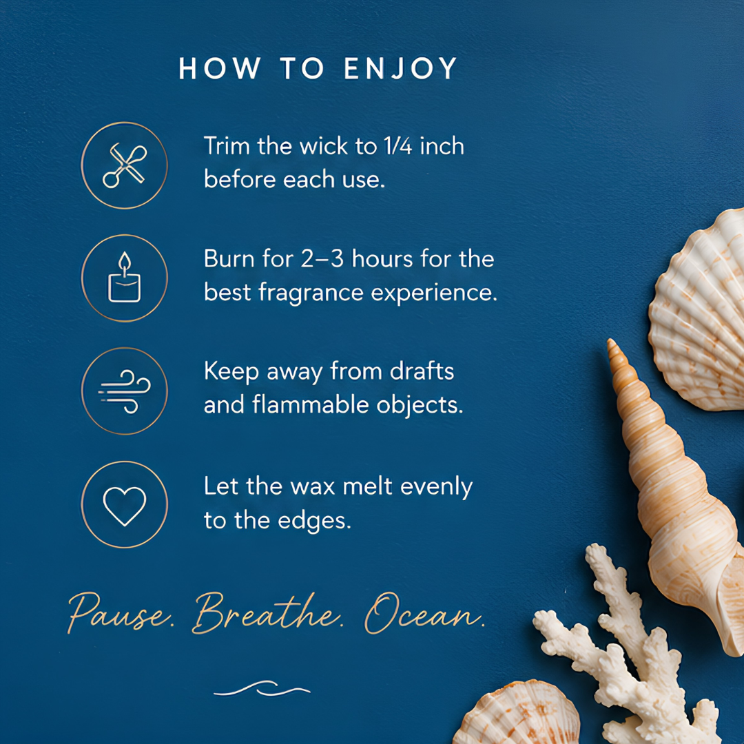 Ocean Breeze Shell Candle