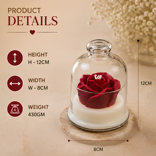 Enchanted Rose