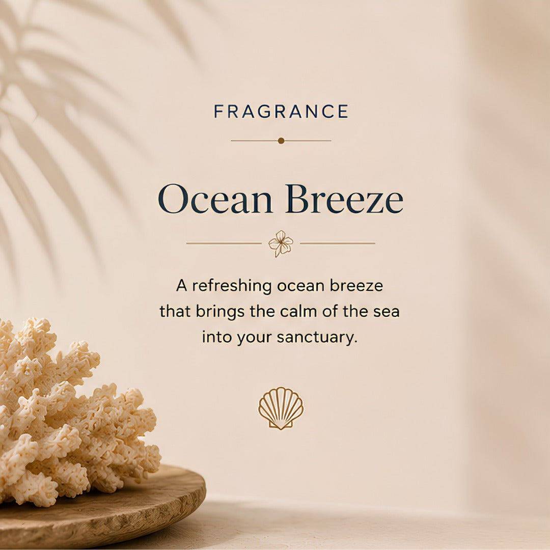 Seashell Sanctuary